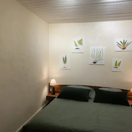 3 Maisons Piscine Chauffee Et Clim